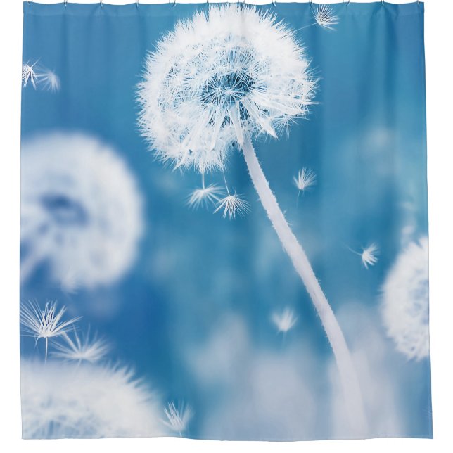 Dandelions Seeds: Summer Floral Banner Shower Curtain (Front)