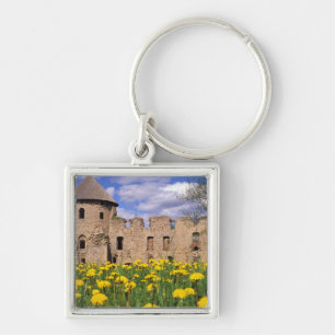 Dandelions surround Cesis Castle in central Key Ring