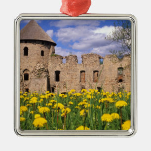 Dandelions surround Cesis Castle in central Metal Ornament
