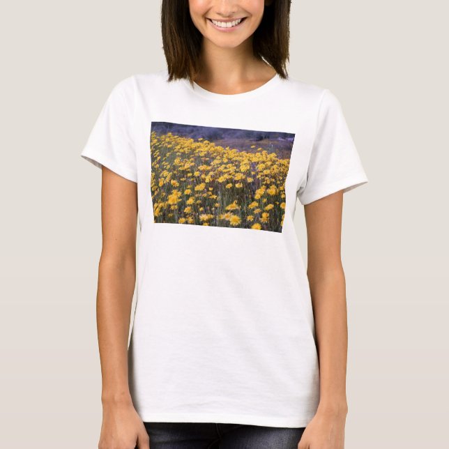 Dandelions T-Shirt (Front)