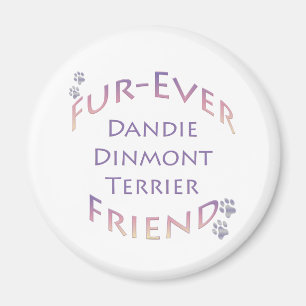 Dandie Dinmont Terrier Furever Magnet
