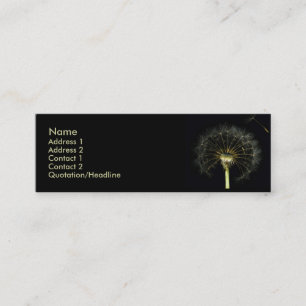 Dandilion Profile Card