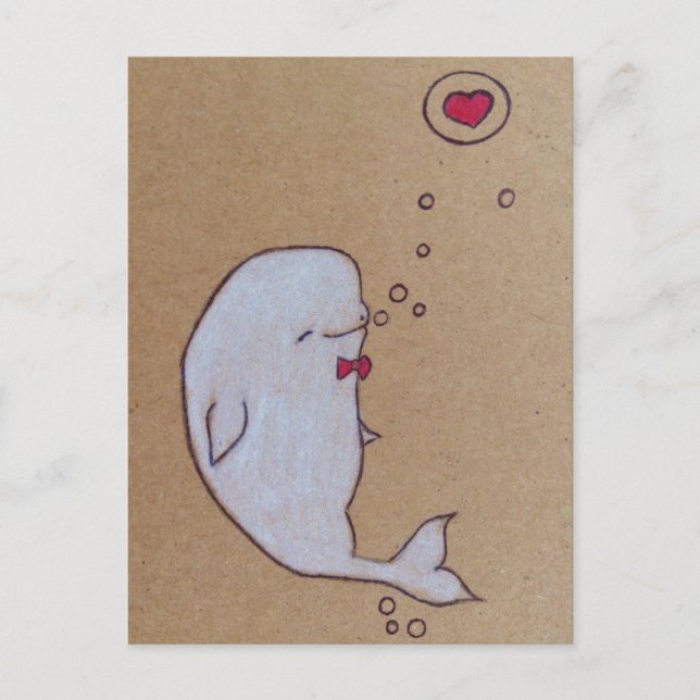 dandy beluga postcard (Front)