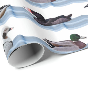 Dandy Ducks Wrapping Paper