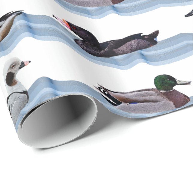 Dandy Ducks Wrapping Paper (Roll Corner)