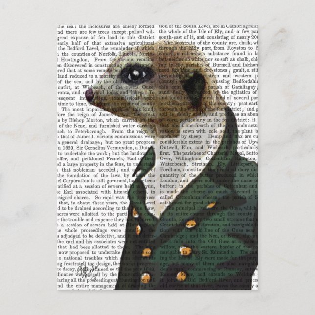 Dandy Meerkat Portrait Postcard (Front)