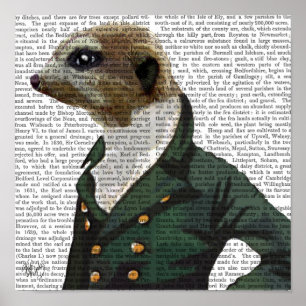 Dandy Meerkat Portrait Poster