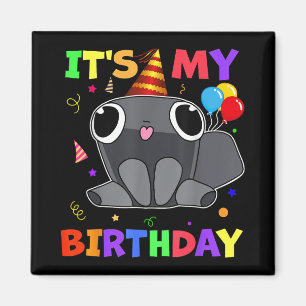 Dandys Pebble Birthday Decoration World For Kids B Magnet