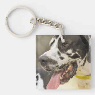 Dane Key Ring