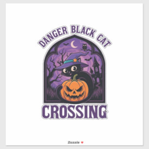 Danger Black Cat Crossing Halloween Pumpkin Witch