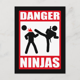 Danger Ninjas Postcard