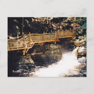 Dangerous Path Postcard