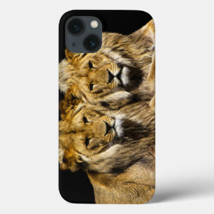 Dangerous Predator Lions iPhone 13 Case