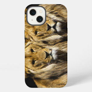 Dangerous Predator Lions iPhone Case