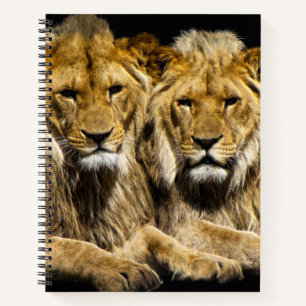 Dangerous Predator Lions Notebook