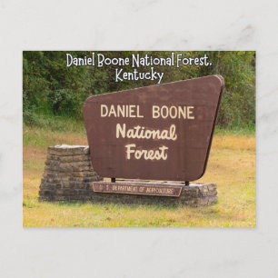 Daniel Boone National Forest Kentucky Postcard