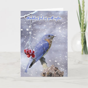 danish christmas card - blue bird with berries and