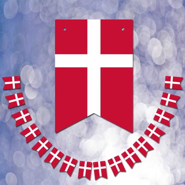 Danish Flag & Party Denmark Banners / Weddings (Creator Uploaded)