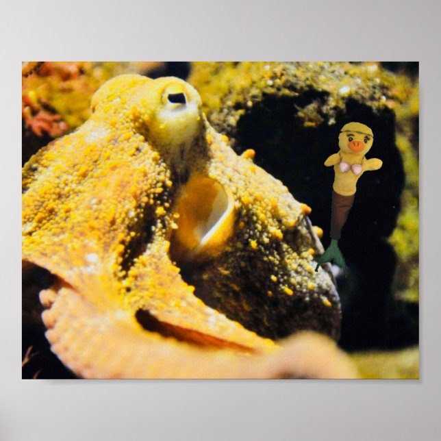 Danni the Mermaid  Poster (Front)