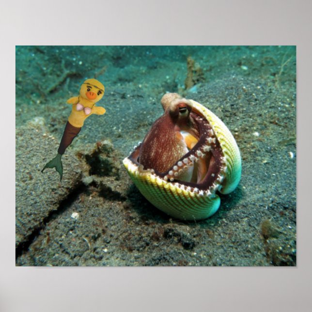 Danni the Mermaid  Poster (Front)