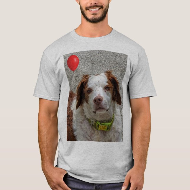 danny balloon 1 T-Shirt (Front)