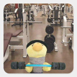 Danny Duck in the gym Square Sticker