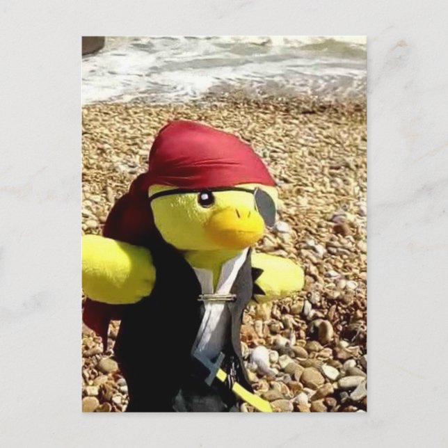 Danny Duck the Pirate Postcard (Front)