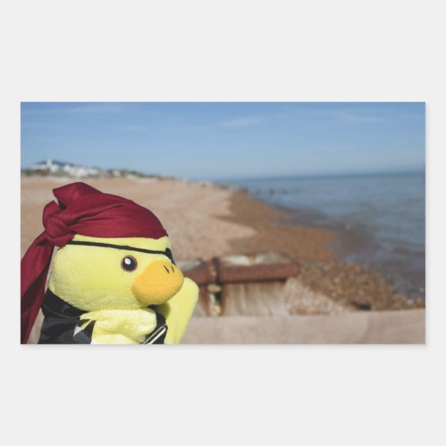 Danny Duck the Pirate Rectangular Sticker (Front)