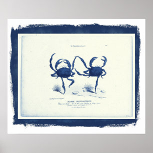 Danse Fantastique, 1829 in Black Frame (remix Poster