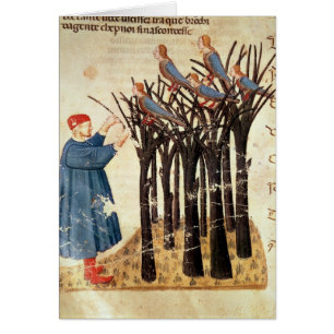 Dante and the Souls Transformed into Birds