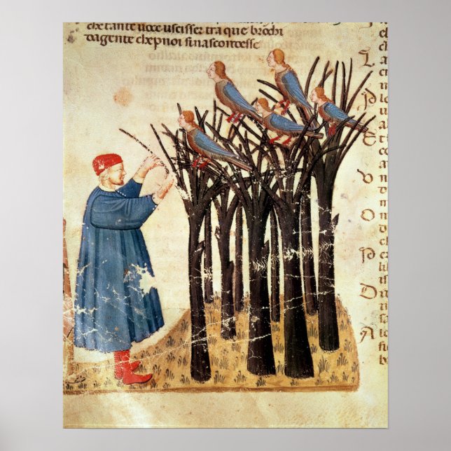 Dante and the Souls Transformed into Birds Poster (Front)