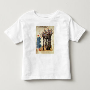 Dante and the Souls Transformed into Birds Toddler T-Shirt