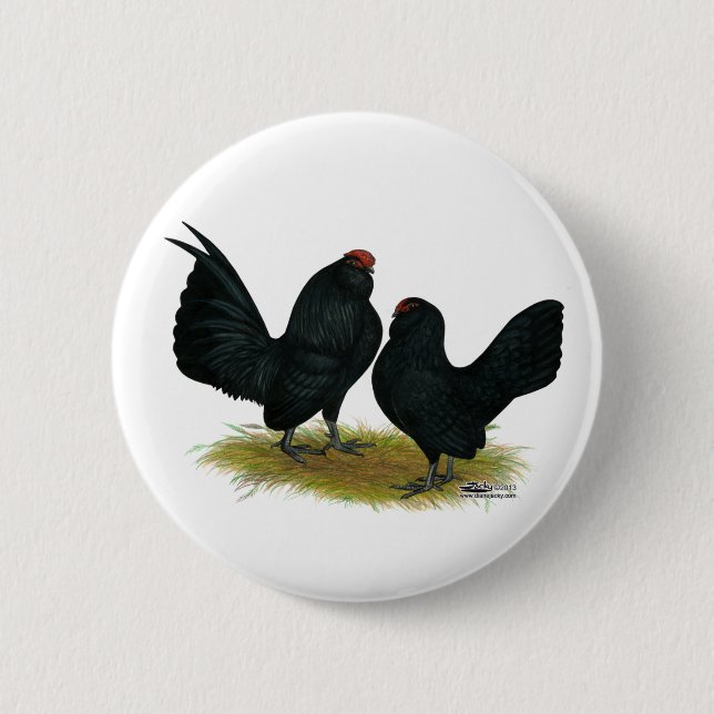 D'Anvers Black Bantams 6 Cm Round Badge (Front)