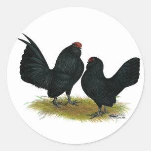 D'Anvers Black Bantams Classic Round Sticker