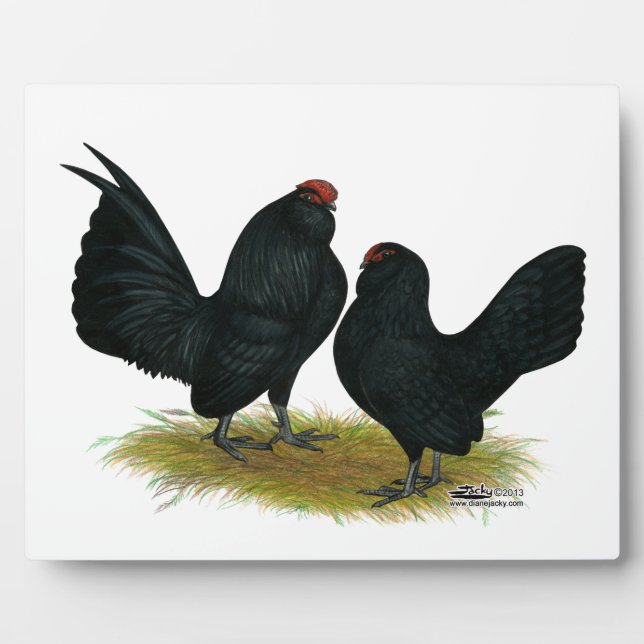 D'Anvers Black Bantams Plaque (Front)