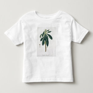 Daphne Laureda from 'Phytographie Medicale' by Jos Toddler T-Shirt