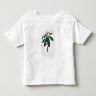 Daphne Laureda from 'Phytographie Medicale' by Jos Toddler T-Shirt