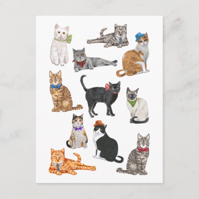 Dapper Cats Postcard (Front)