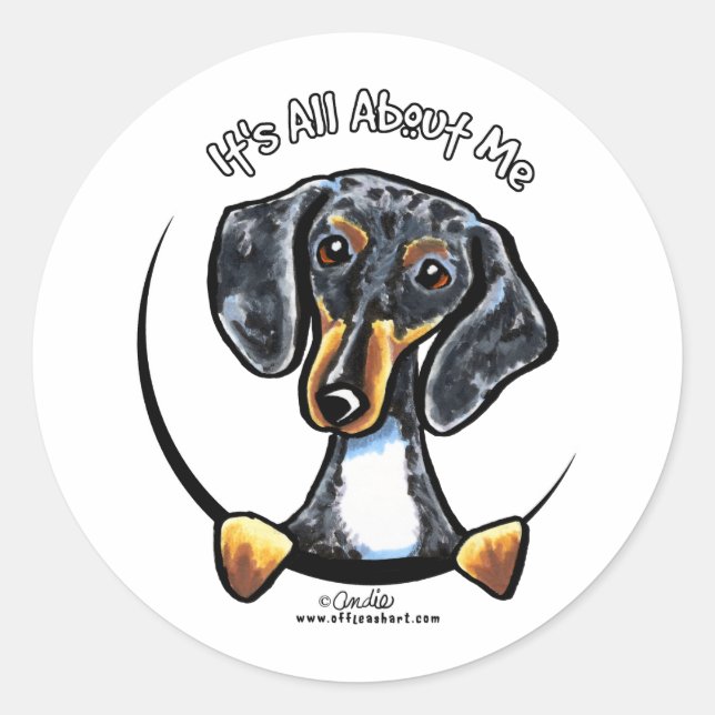 Dapple Dachshund Its All About Me Classic Round Sticker (Front)
