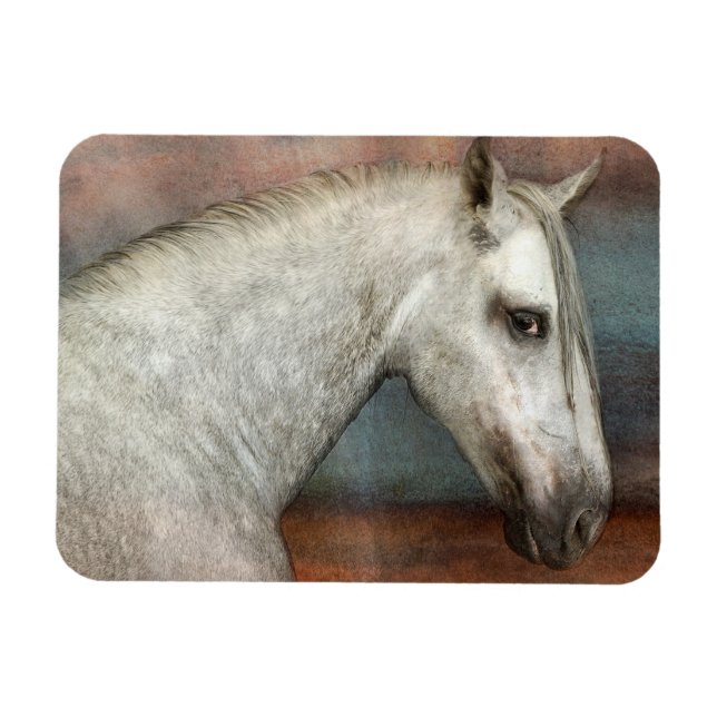 Dapple Gray Andalusian Horse Portrait Magnet (Horizontal)