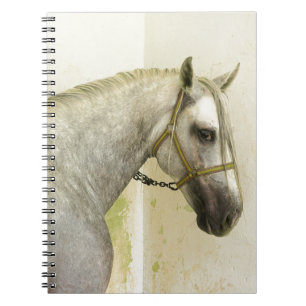 Dapple Grey Andalusian Horse Notebook