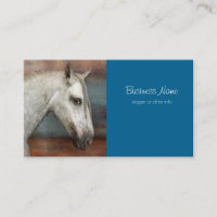 Dapple Grey Andalusian Horse Portrait