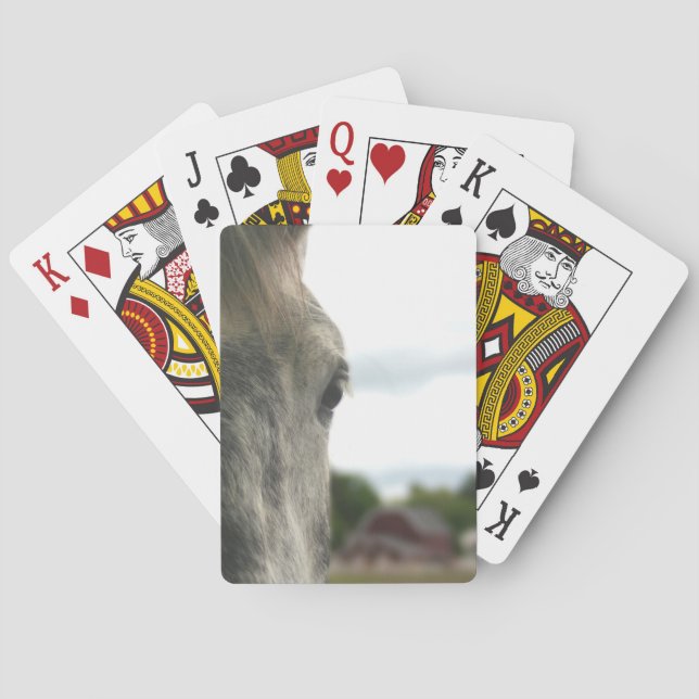 Dapple Grey Draught Horse Eye  Playing Cards (Back)