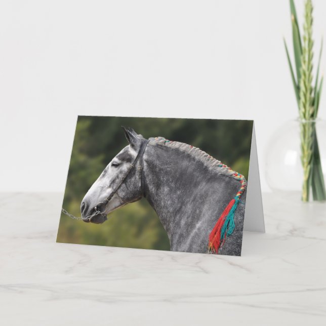 Dapple grey Percheron horse birthday Card (Front)