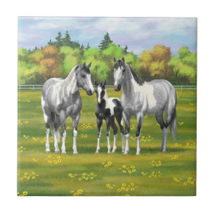 Dapple Grey Pinto Paint Horses In Summer Pasture Ceramic Tile