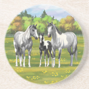 Dapple Grey Pinto Paint Horses In Summer Pasture Coaster