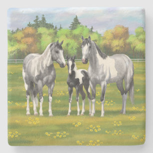 Dapple Grey Pinto Paint Horses In Summer Pasture Stone Coaster