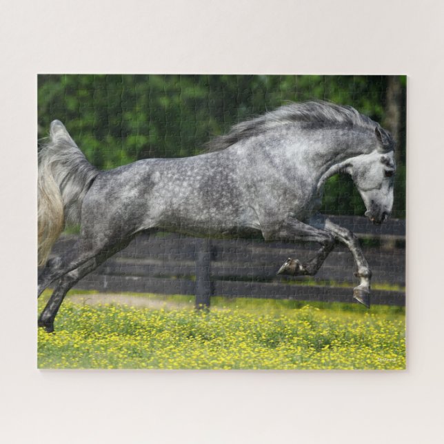 Dapple Grey Rocky Mountain Horse Leaping Jigsaw Puzzle (Horizontal)