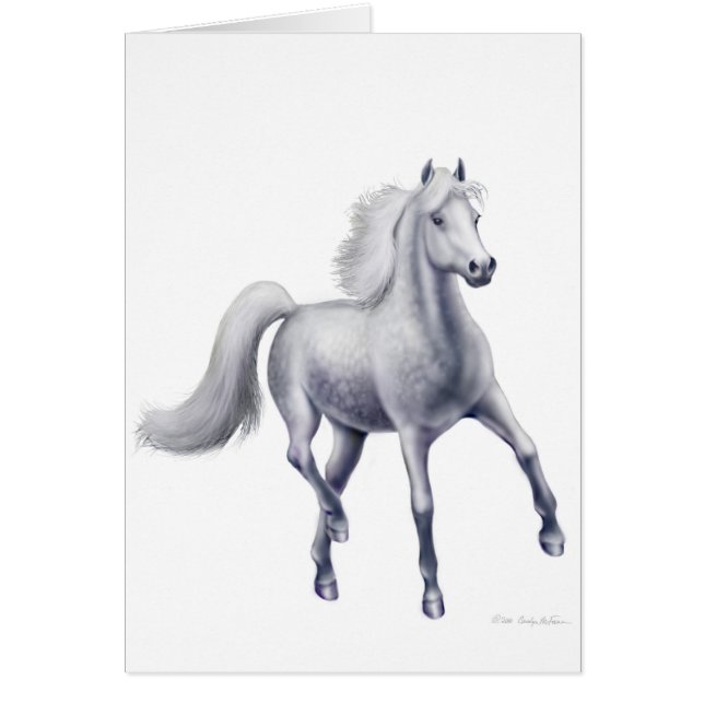 Dappled Grey Arabian Horse Card (Front)