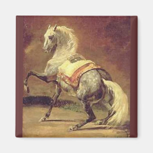 DAPPLED GREY HORSE MAGNET